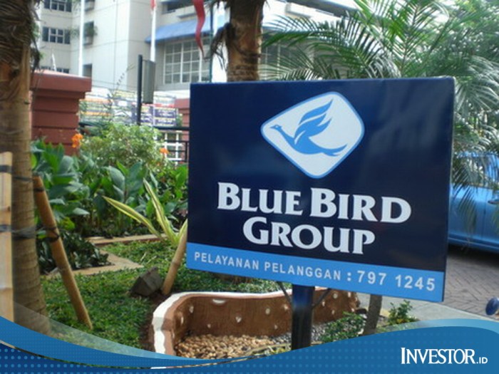 Bluebird pharmaceuticals stock price