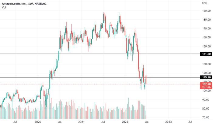 Amazon common stock price