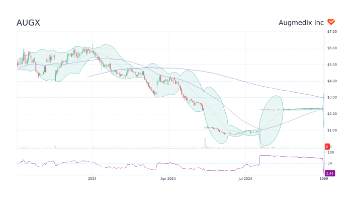 Augx stock price