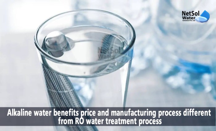 Alkaline water stock price