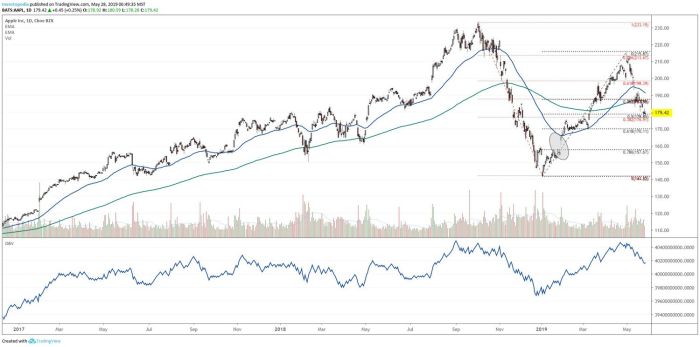 Apple stock price in 2019