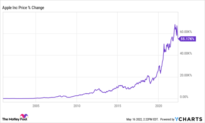 Apple stock price split history