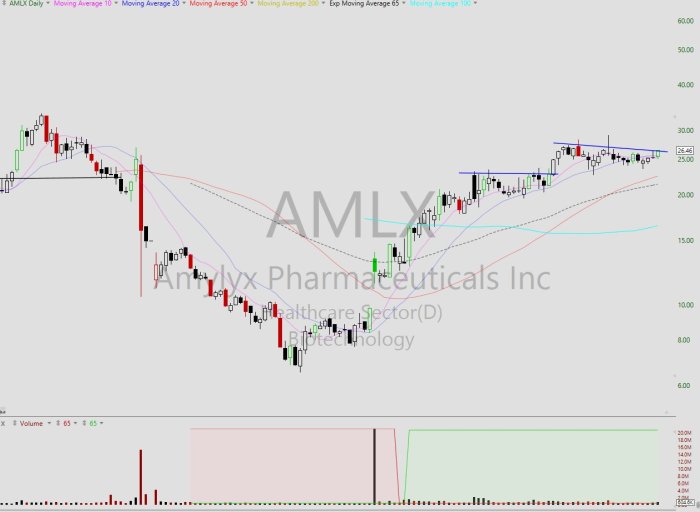 Amlx stock price target