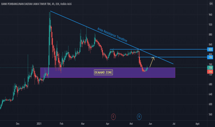 Bjdx stock price